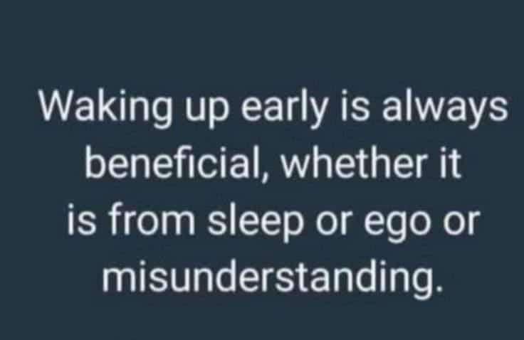 20240325060741529.jpg