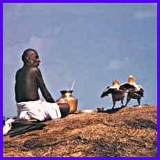 Shivasthalams where animals worshiped and got salvation