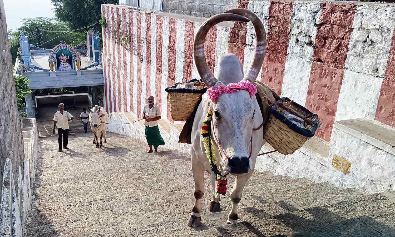 Chennimalai Murugan Temple to remove the sins committed!!