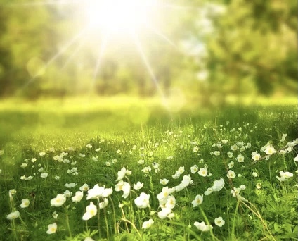 Vaikasi is born..!! Spring has arrived..!!!