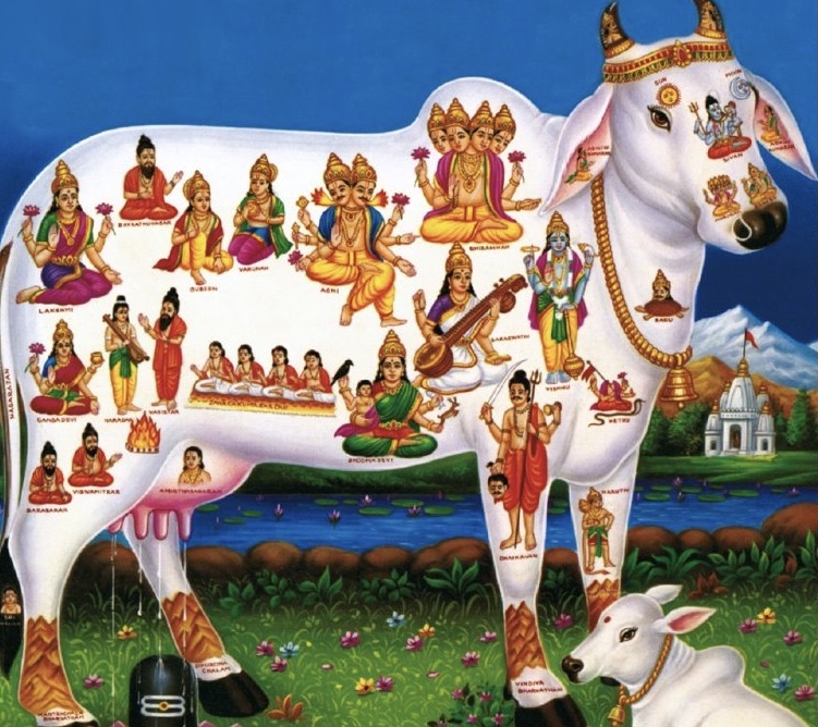 Worship of Gomatha to protect the clan!!