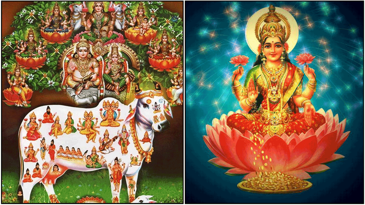 Worship of Gomatha to protect the clan!!