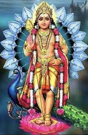 ​ Lord Murugan appears in a rare form!!