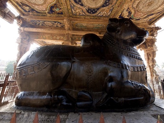 Let's learn the philosophy of Lord Nandhi!!