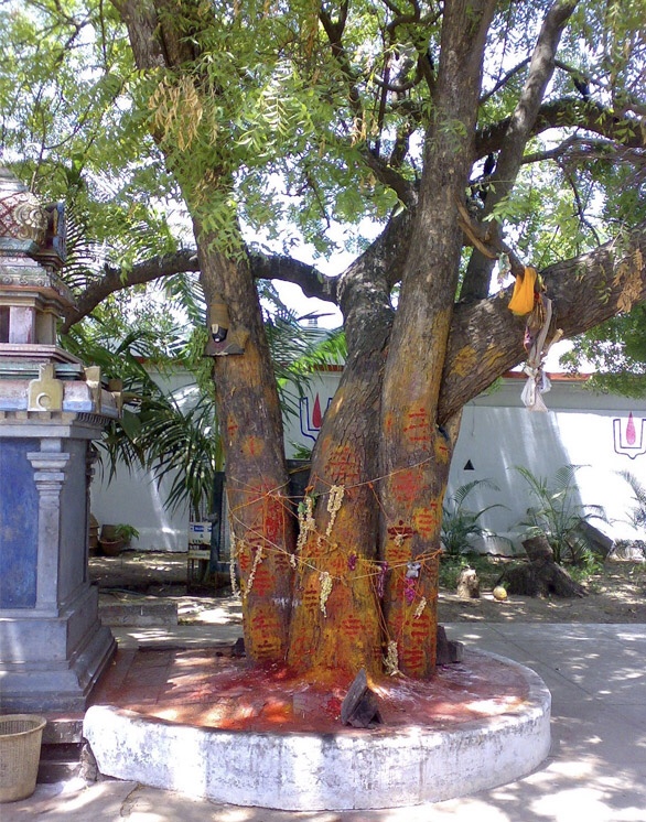 Chennai Koyambedu Twin Temples..!!