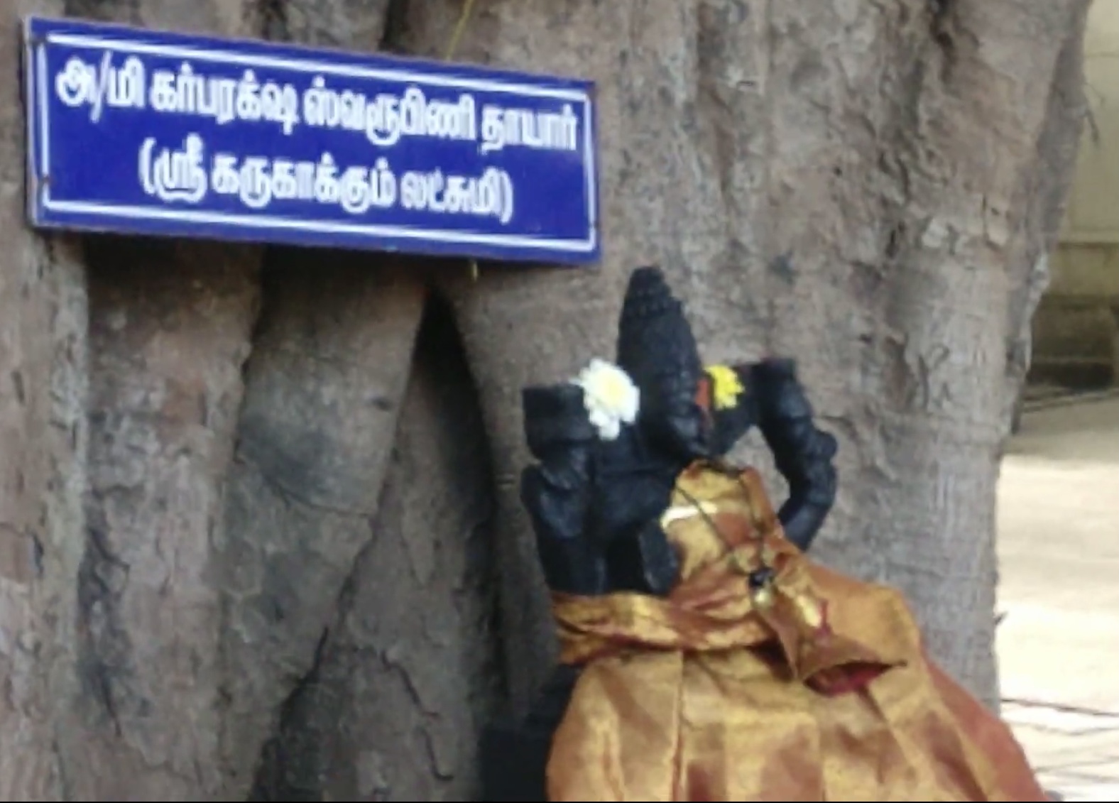 ​ ​ Vadapalani Aadhimoolap Perumal Temple, which removes sufferings!!   ​