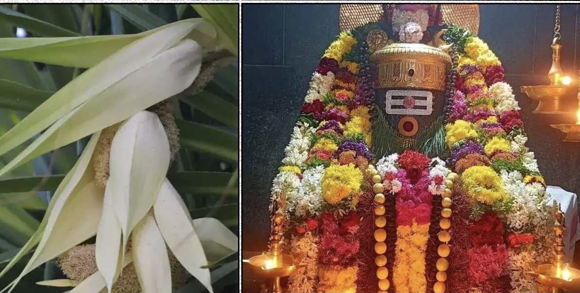 The ancient and proud Uttarakosamangai temple…!!