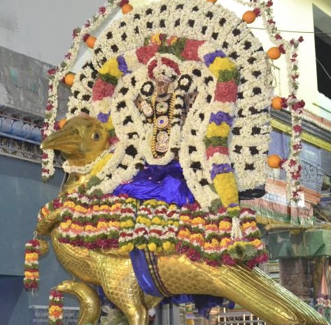 The heroes of the nine planets that bring good luck..!! - 14