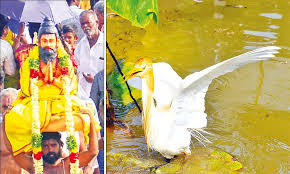 ​​​​Kallalagar who freed the curse of Manduka Muni..!!