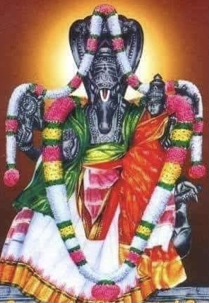 Hayagriva, the giver of education wealth!!