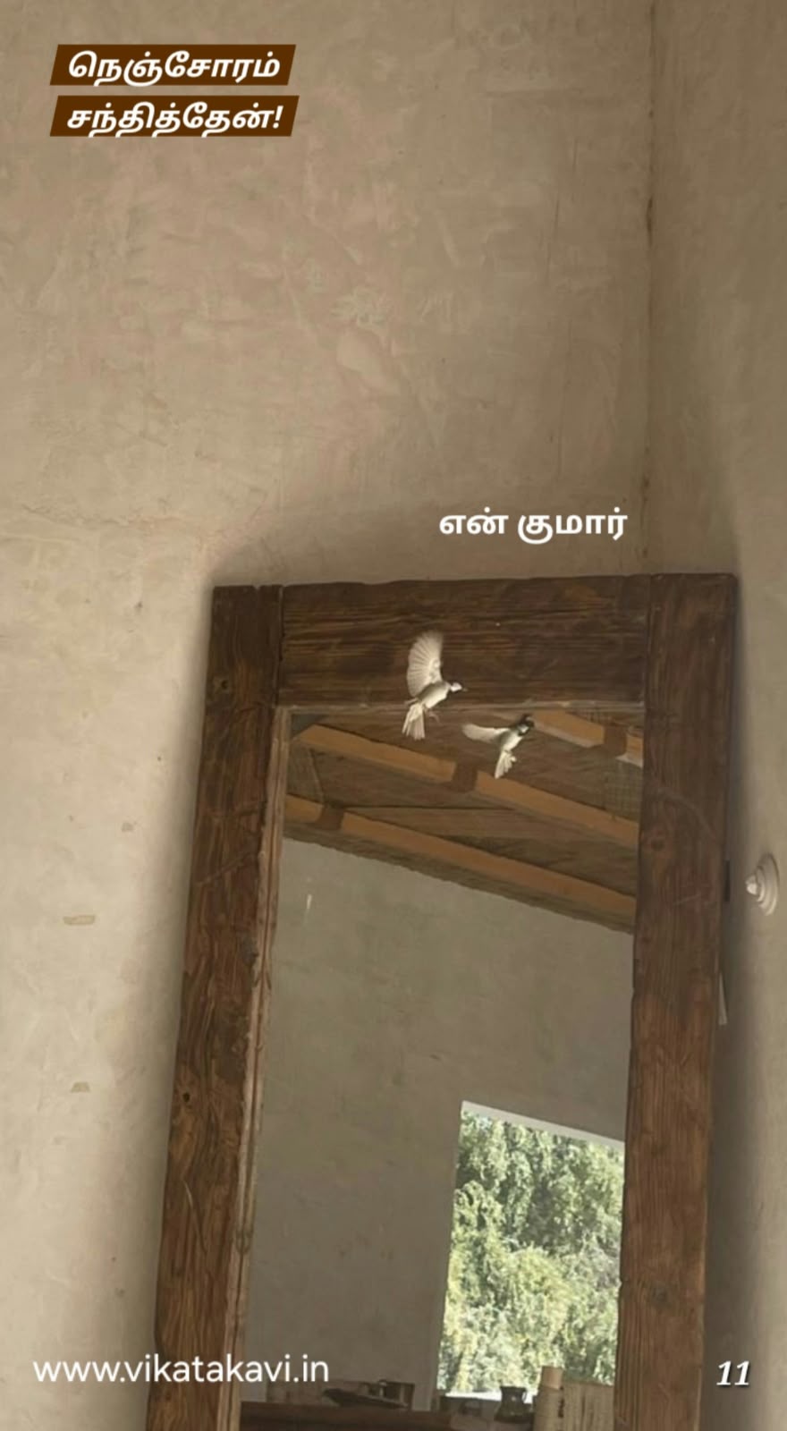 20260728194120674.jpeg