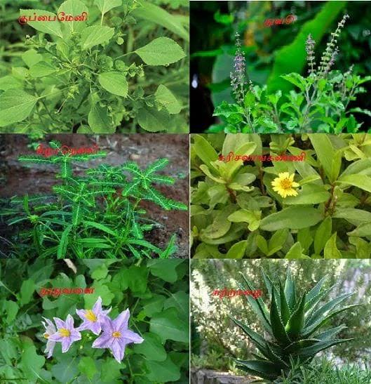 Herbal medicine