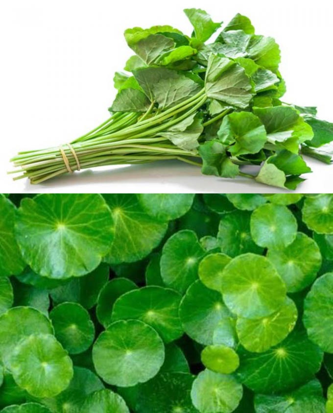 Herbal medicine