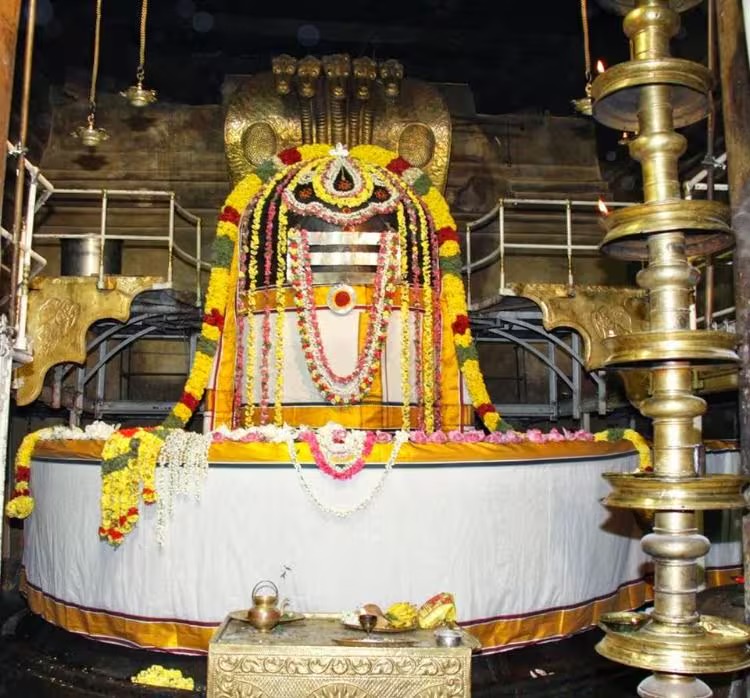 Annabhishekam to Peruvudaiyar at Thanjavur Periya koil..!!
