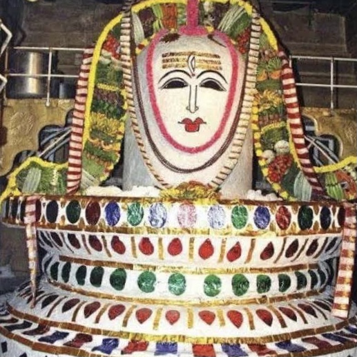  Annabhishekam to Peruvudaiyar at Thanjavur Periya koil..!!