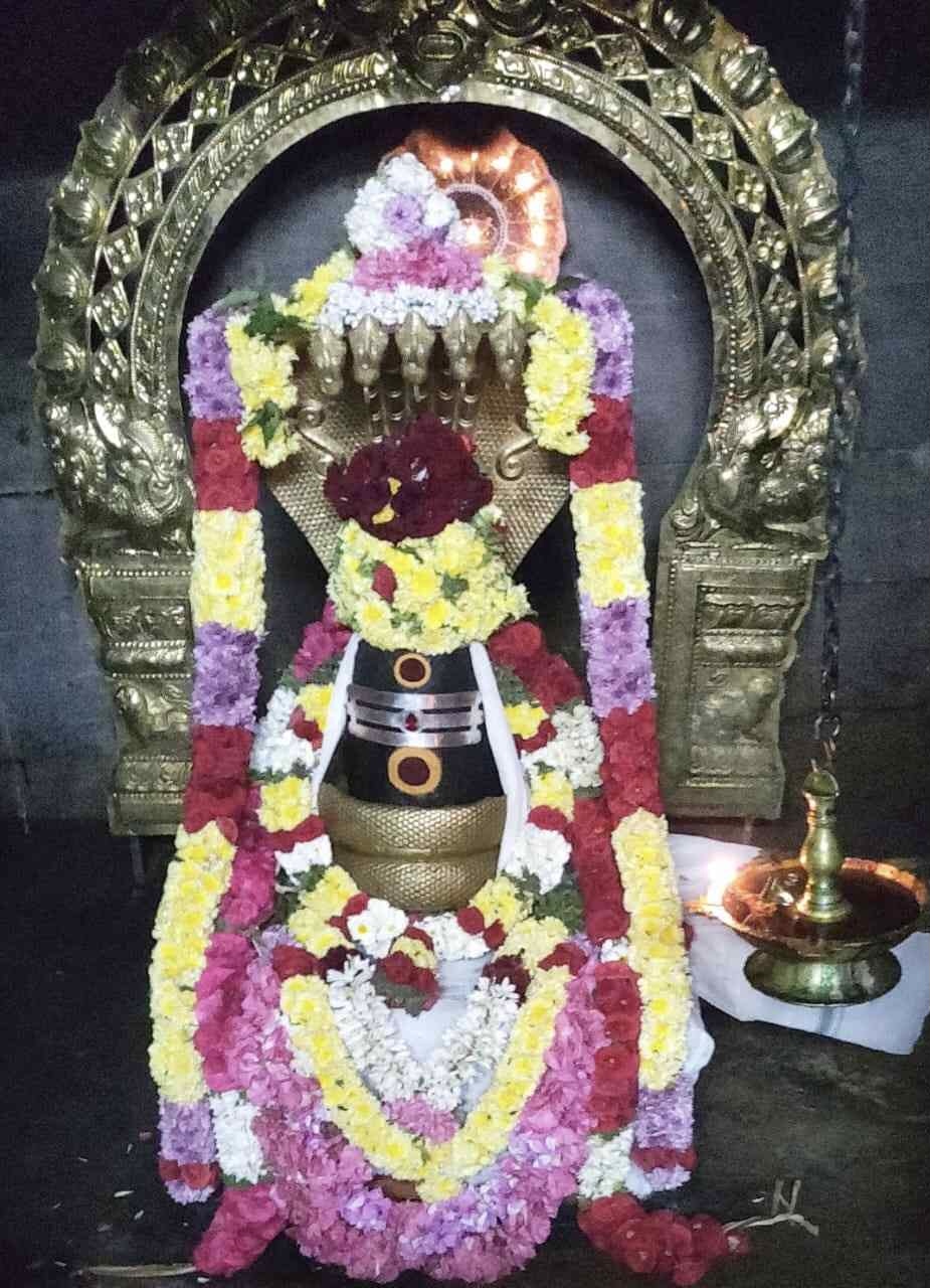 Temples that cure incurable diseases..!! - 5